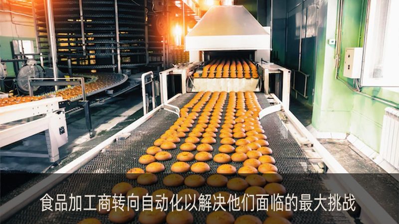 小型肉类加工设备：如何选择合适的厂家**